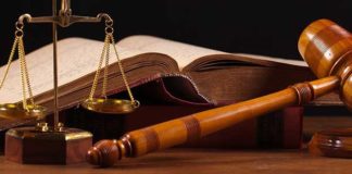 Amministratore SRL responsabile dei debiti della società