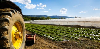 IVA per attività socio-educative svolte da azienda agricola